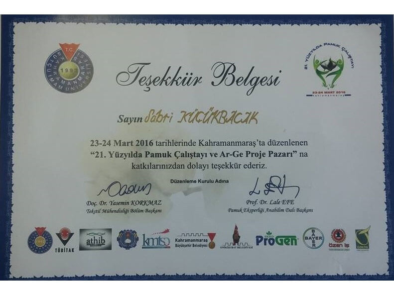 2015  Сертификат признательности